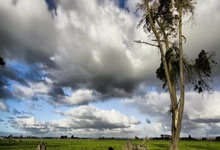 中国最新体育动态有哪些亮点？